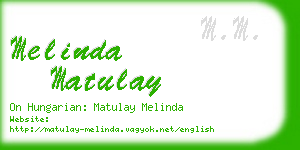 melinda matulay business card